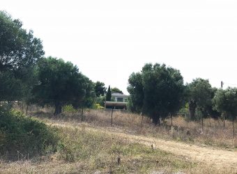 Land ready for development