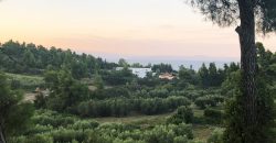 Villa with thermal insulation